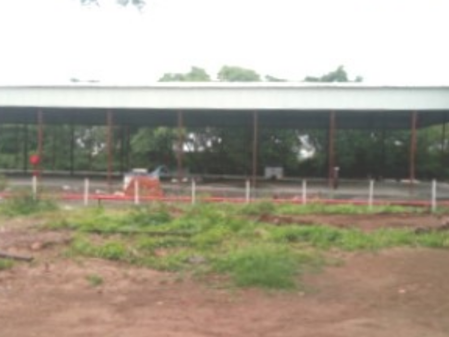 cipl-wasan